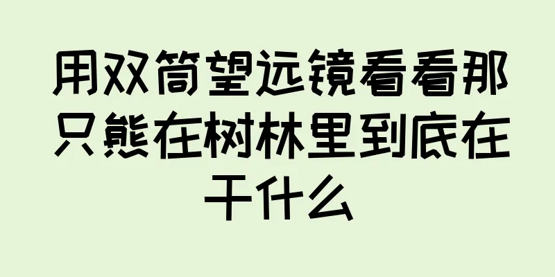 用双筒望远镜看看那只熊在树林里到底在干什么