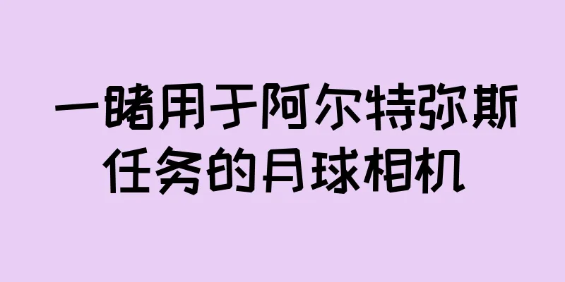 一睹用于阿尔特弥斯任务的月球相机