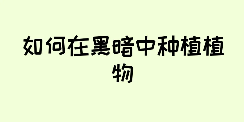 如何在黑暗中种植植物