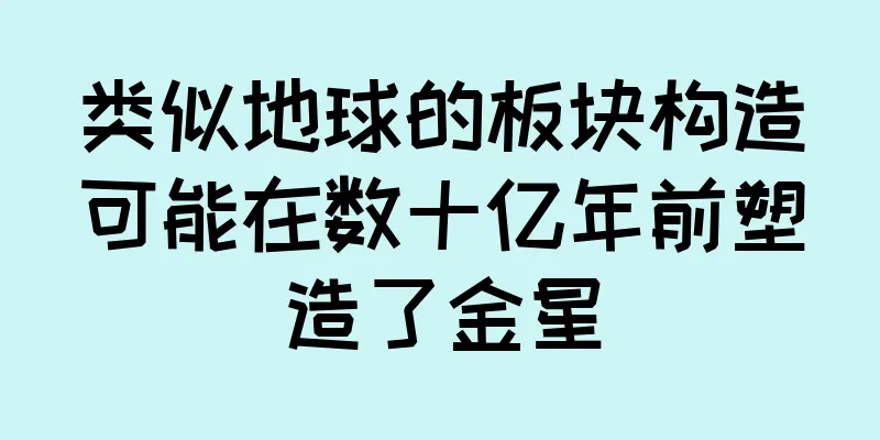 类似地球的板块构造可能在数十亿年前塑造了金星