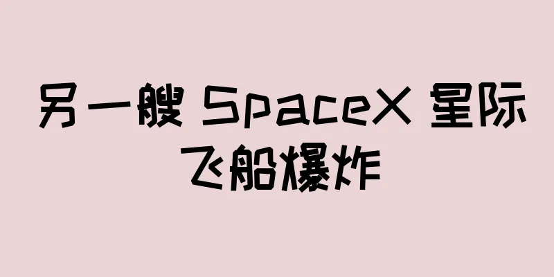 另一艘 SpaceX 星际飞船爆炸