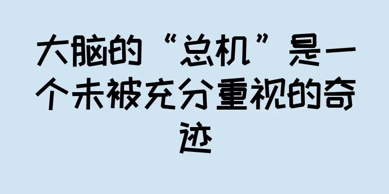 大脑的“总机”是一个未被充分重视的奇迹