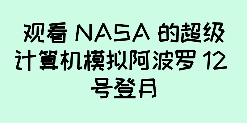 观看 NASA 的超级计算机模拟阿波罗 12 号登月