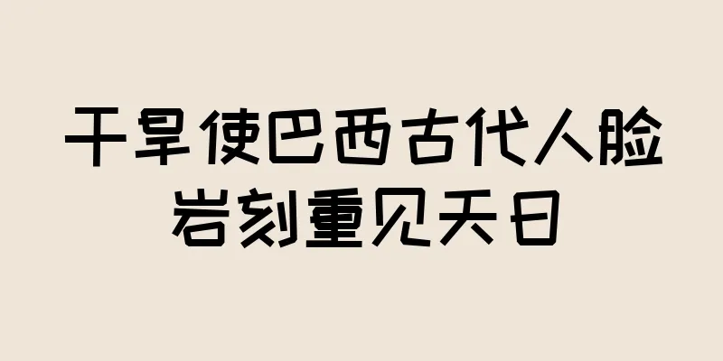 干旱使巴西古代人脸岩刻重见天日