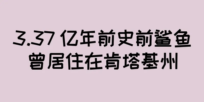 3.37 亿年前史前鲨鱼曾居住在肯塔基州