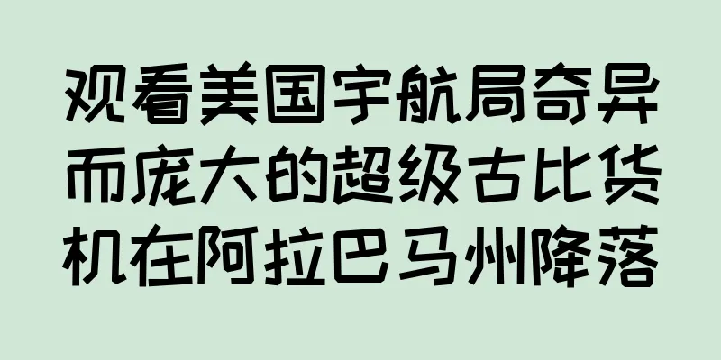 观看美国宇航局奇异而庞大的超级古比货机在阿拉巴马州降落
