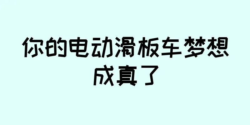 你的电动滑板车梦想成真了