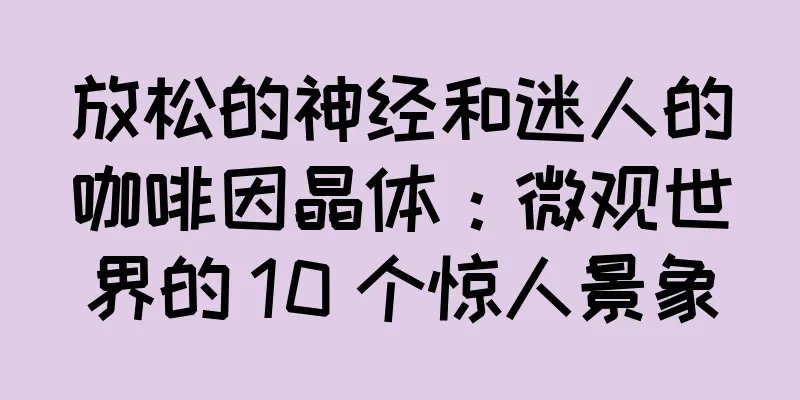 放松的神经和迷人的咖啡因晶体：微观世界的 10 个惊人景象