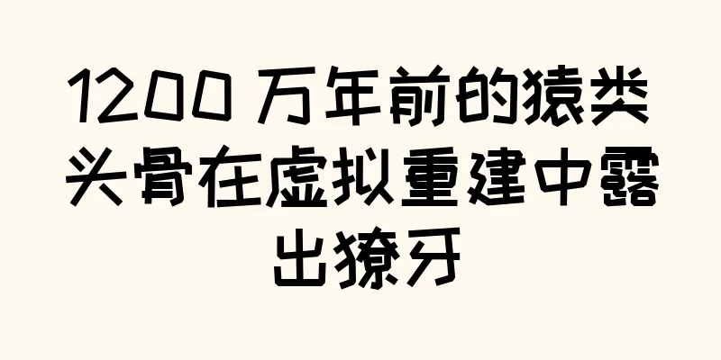 1200 万年前的猿类头骨在虚拟重建中露出獠牙