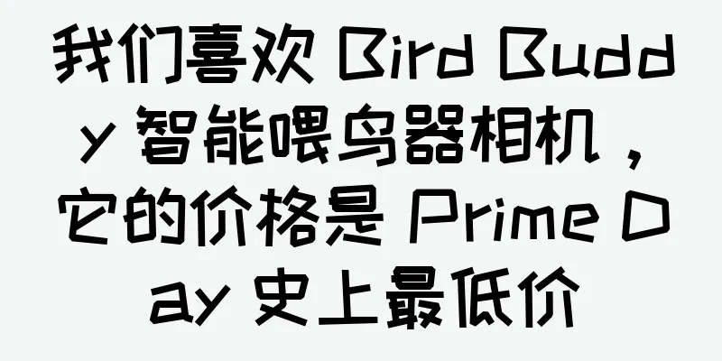 我们喜欢 Bird Buddy 智能喂鸟器相机，它的价格是 Prime Day 史上最低价