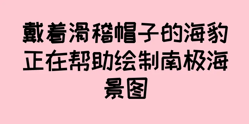 戴着滑稽帽子的海豹正在帮助绘制南极海景图