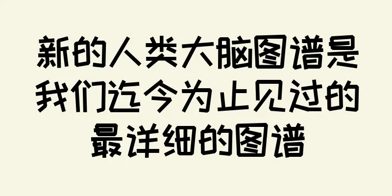 新的人类大脑图谱是我们迄今为止见过的最详细的图谱