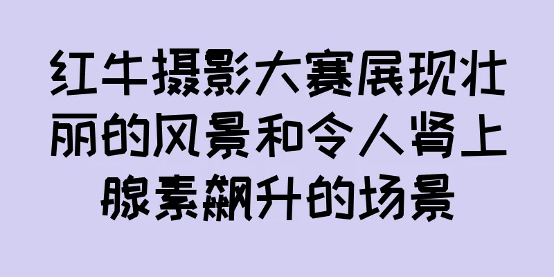 红牛摄影大赛展现壮丽的风景和令人肾上腺素飙升的场景
