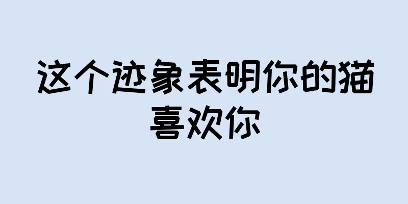 这个迹象表明你的猫喜欢你