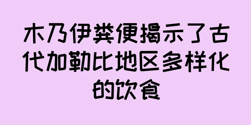 木乃伊粪便揭示了古代加勒比地区多样化的饮食