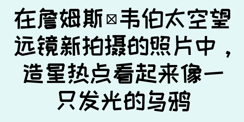 在詹姆斯·韦伯太空望远镜新拍摄的照片中，造星热点看起来像一只发光的乌鸦