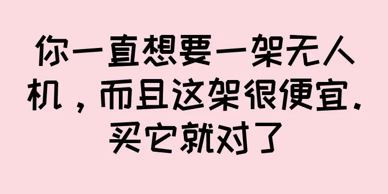 你一直想要一架无人机，而且这架很便宜。买它就对了