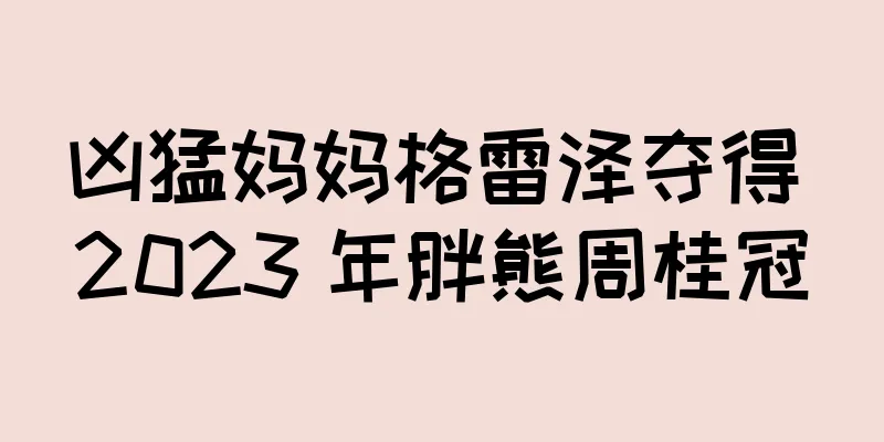 凶猛妈妈格雷泽夺得 2023 年胖熊周桂冠
