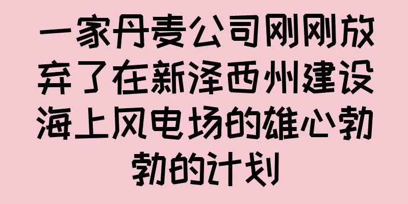 一家丹麦公司刚刚放弃了在新泽西州建设海上风电场的雄心勃勃的计划