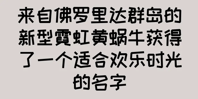 来自佛罗里达群岛的新型霓虹黄蜗牛获得了一个适合欢乐时光的名字