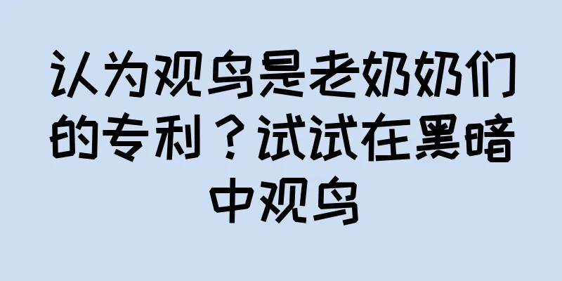 认为观鸟是老奶奶们的专利？试试在黑暗中观鸟