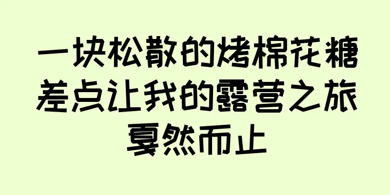 一块松散的烤棉花糖差点让我的露营之旅戛然而止