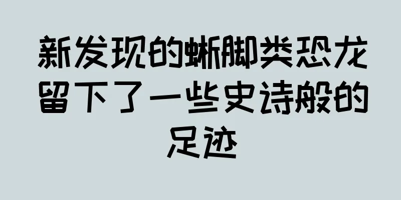新发现的蜥脚类恐龙留下了一些史诗般的足迹
