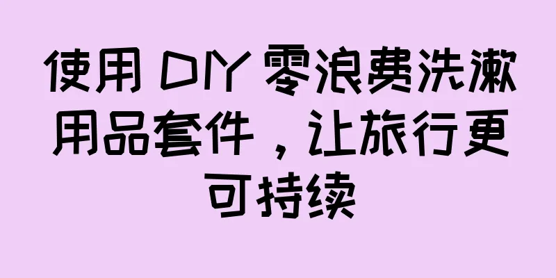 使用 DIY 零浪费洗漱用品套件，让旅行更可持续