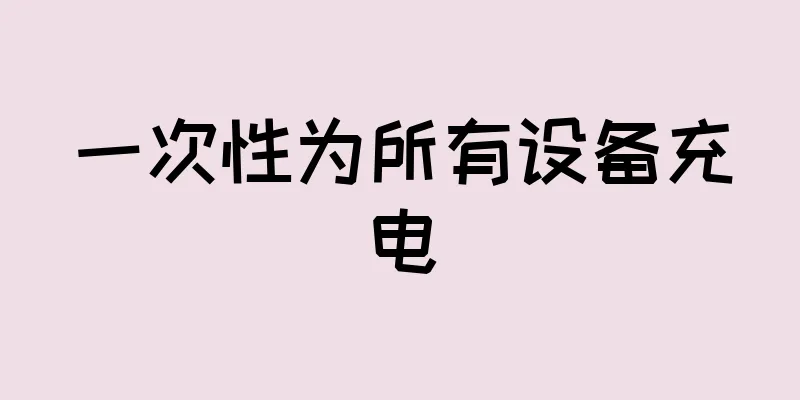 一次性为所有设备充电