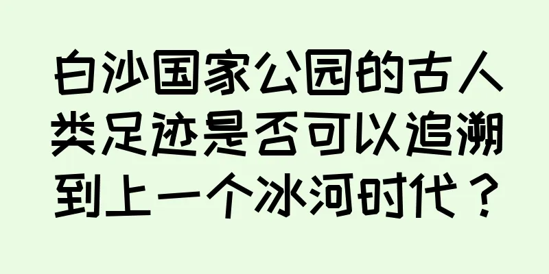 白沙国家公园的古人类足迹是否可以追溯到上一个冰河时代？