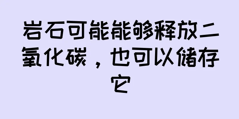 岩石可能能够释放二氧化碳，也可以储存它