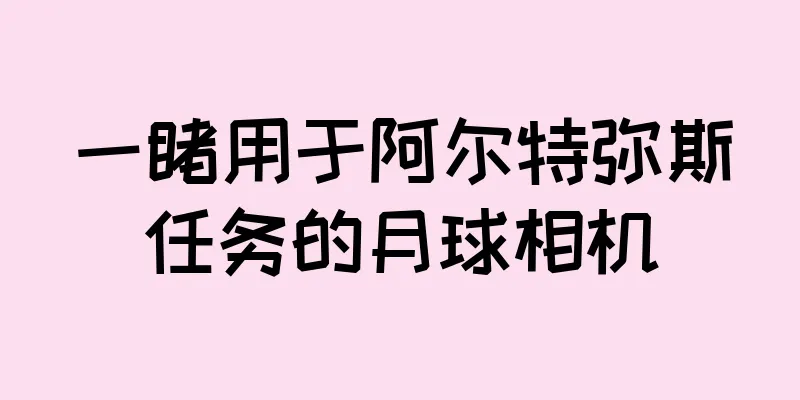 一睹用于阿尔特弥斯任务的月球相机