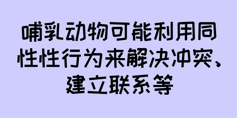 哺乳动物可能利用同性性行为来解决冲突、建立联系等