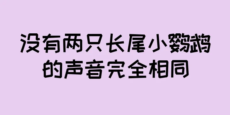没有两只长尾小鹦鹉的声音完全相同
