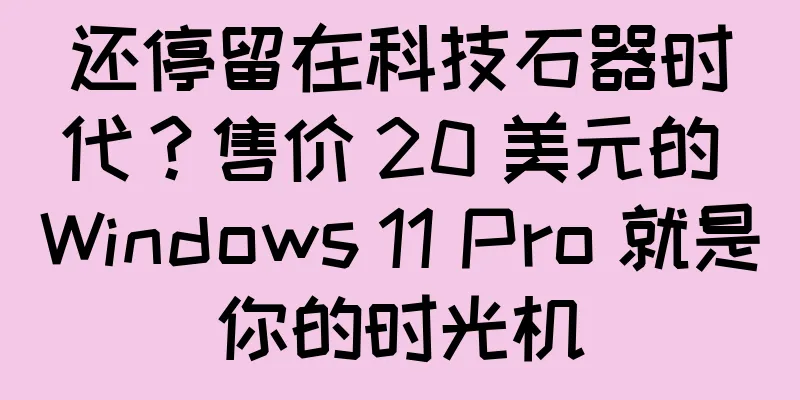 还停留在科技石器时代？售价 20 美元的 Windows 11 Pro 就是你的时光机
