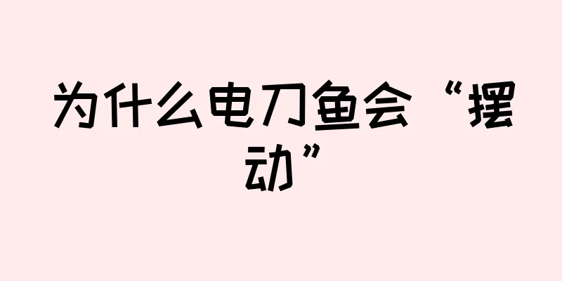 为什么电刀鱼会“摆动”