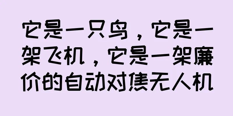 它是一只鸟，它是一架飞机，它是一架廉价的自动对焦无人机