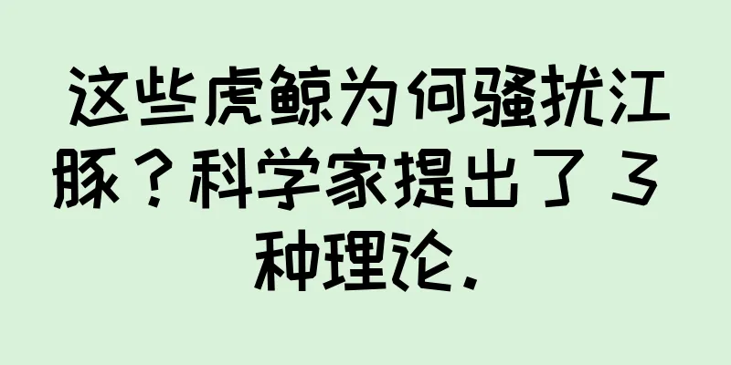 这些虎鲸为何骚扰江豚？科学家提出了 3 种理论。