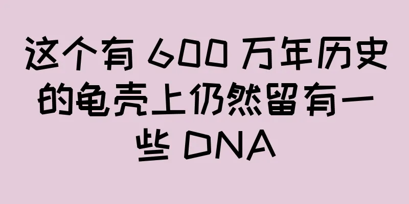 这个有 600 万年历史的龟壳上仍然留有一些 DNA