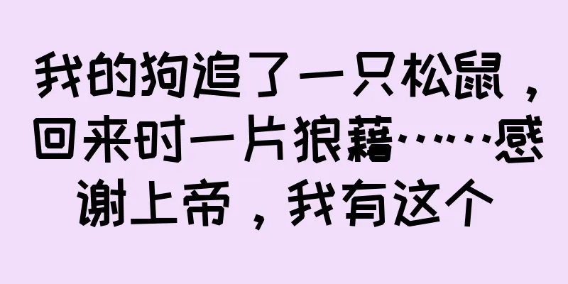 我的狗追了一只松鼠，回来时一片狼藉……感谢上帝，我有这个