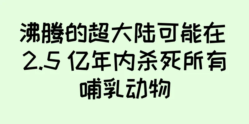 沸腾的超大陆可能在 2.5 亿年内杀死所有哺乳动物