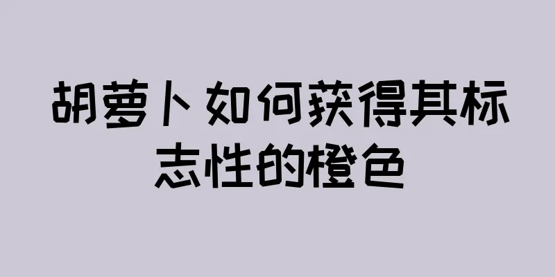 胡萝卜如何获得其标志性的橙色