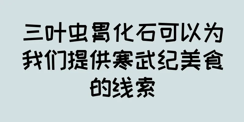 三叶虫胃化石可以为我们提供寒武纪美食的线索