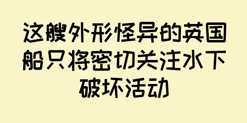 这艘外形怪异的英国船只将密切关注水下破坏活动