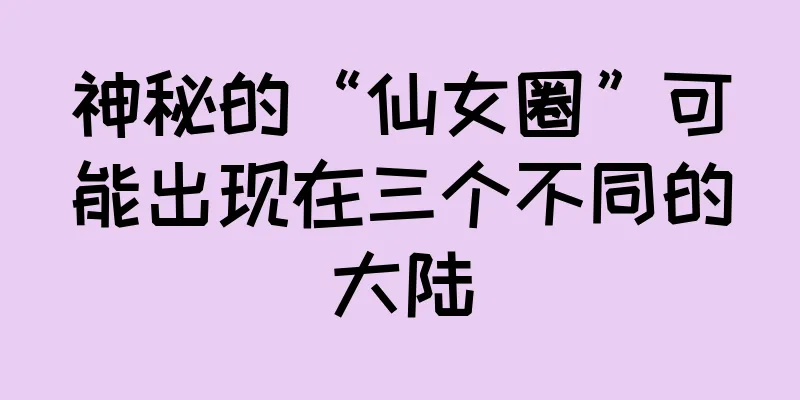 神秘的“仙女圈”可能出现在三个不同的大陆