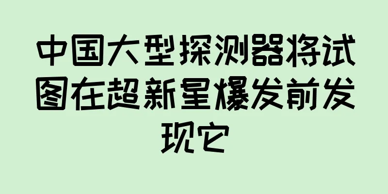 中国大型探测器将试图在超新星爆发前发现它