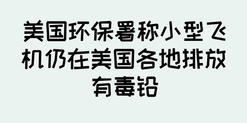 美国环保署称小型飞机仍在美国各地排放有毒铅