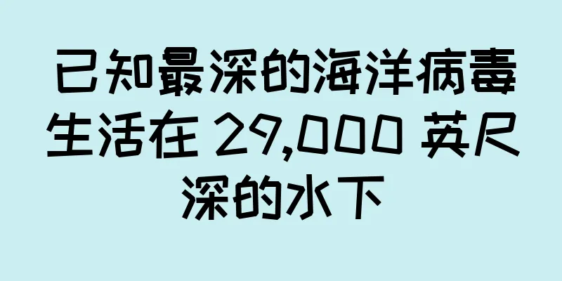 已知最深的海洋病毒生活在 29,000 英尺深的水下