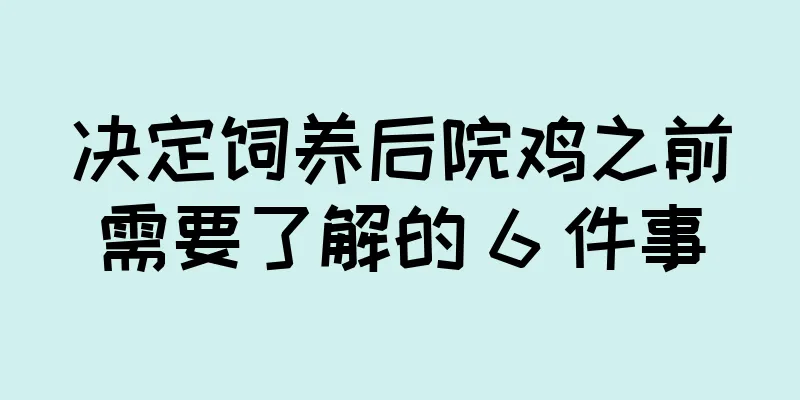 决定饲养后院鸡之前需要了解的 6 件事