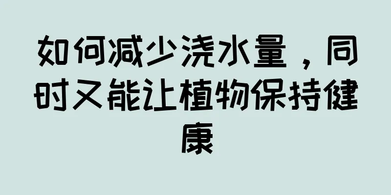 如何减少浇水量，同时又能让植物保持健康